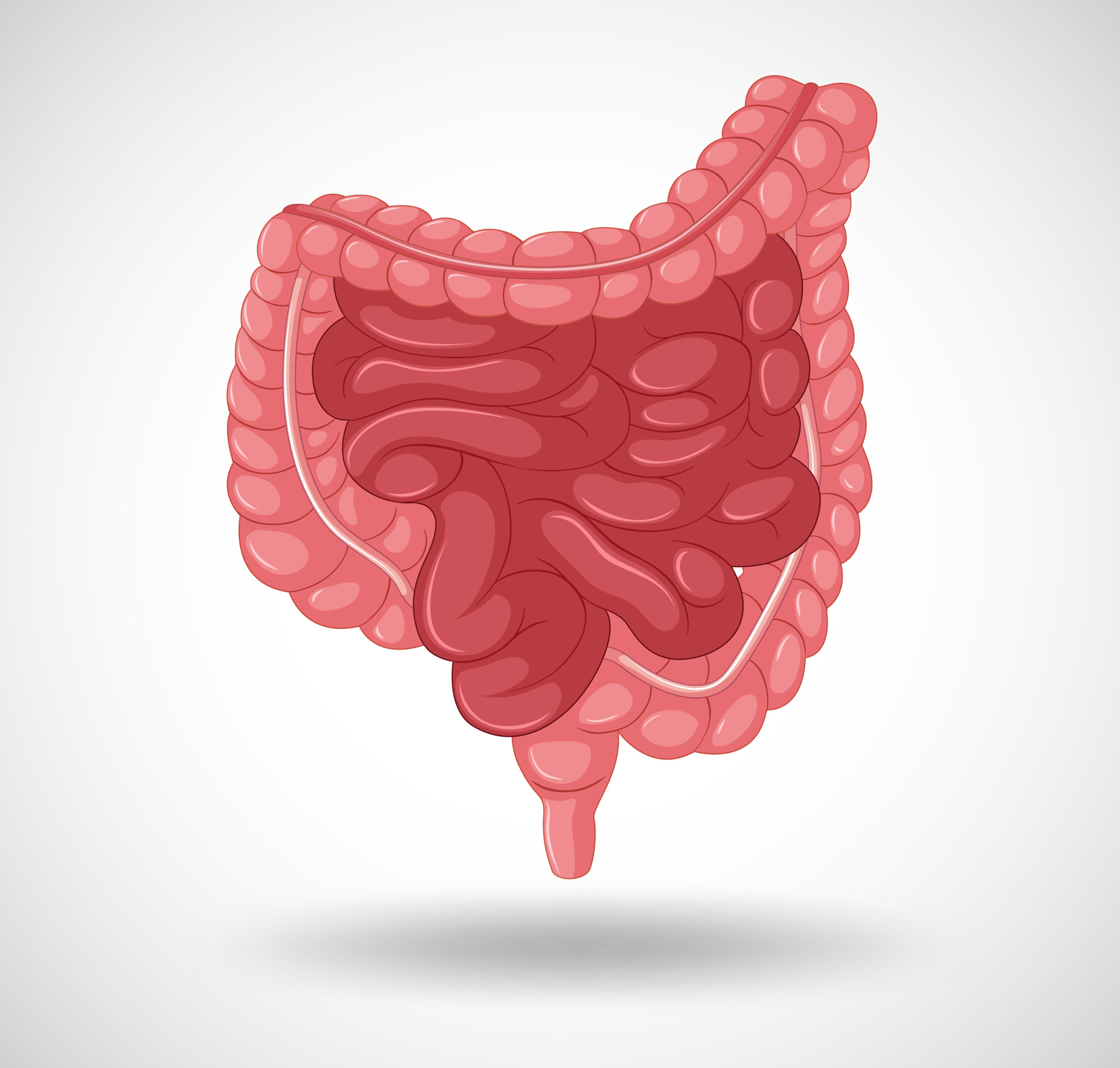Gastrointestinal & Colorectal Surgeries