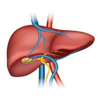 LIVER