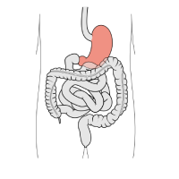 STOMACH